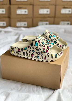 Жіночі шльопанці adidas yeezy slide leopard | smb