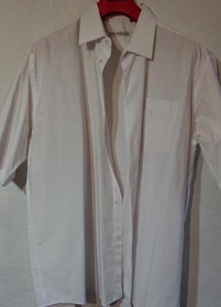 Мужская тенниска рубашка с коротким рукавом xl 2xl 3xl 52 54 56 58 хлопок рубаха большой размер