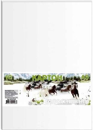 Картон білий 10 аркушів набір а5, в п/п пакеті ка5010е тм офорт