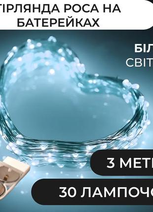 Гірлянда світлодіодна на батарейках garlandopro 30led 3м мідний дріт гірлянди роса білий