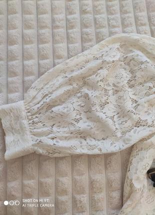 Блузка zara, невероятно женственная, кружевная, нежная, элегантная.