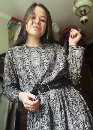 Сукня в зміїний принт