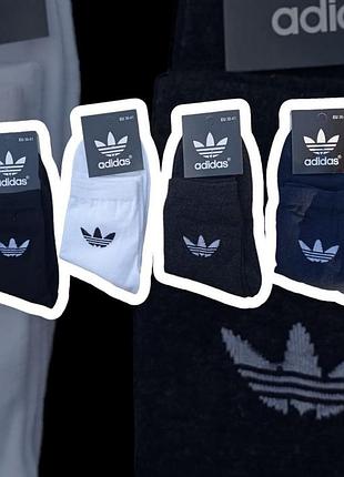 Носки adidas высокие  4 цвета  12 пар в упаковке
