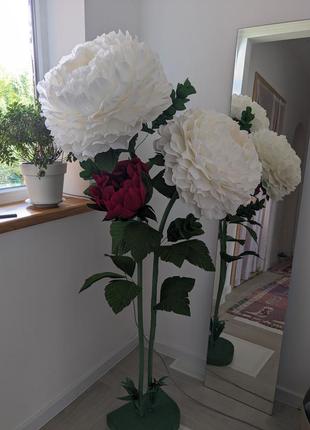 Цветы ростовые