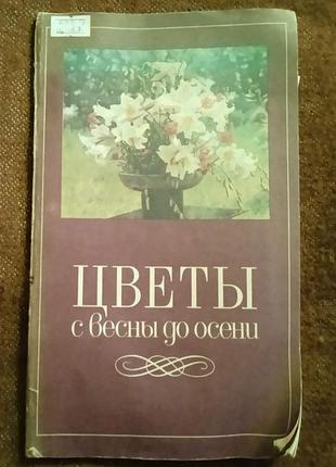 Цветы с весны до осени