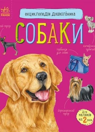 Енциклопедія дошкільника (нова) : собаки 32 стор. 200х240 мм вид-во ранок