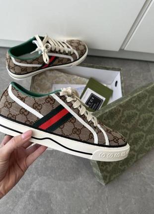 Кеды gucci