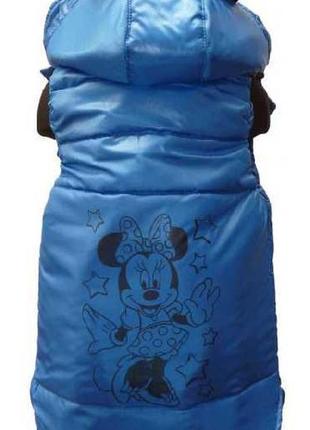 Тепла жилетка на синтепоні для дівчаток мінні маус disney р. 98 синя2 фото