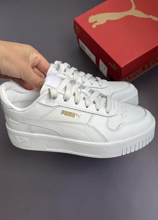 Burberry riñonera adidas discount