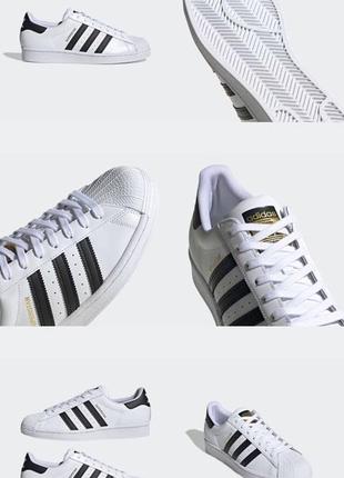 Кросівки adidas superstar