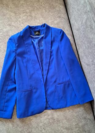 Синій піджак.1 фото