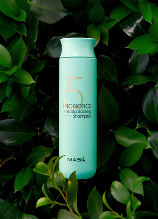 Глибокоочисний шампунь masil 5 probiotics scalp scaling shampoo з пробіотиками 300мл1 фото