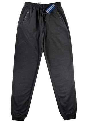 Штани спортивні чоловічі під манжет весна-літо 46,48,50,52,54,56