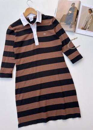 Плаття поло lacoste. котонове плаття з коміром