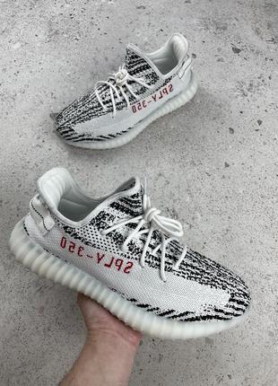 Adidas adidas ZX 10.000 Schokohase GX75760 v2 zebra чоловічі кросовки оригінал