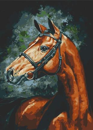 Картина по номерам гордый скакун лак 40*50см, art craft, 11508