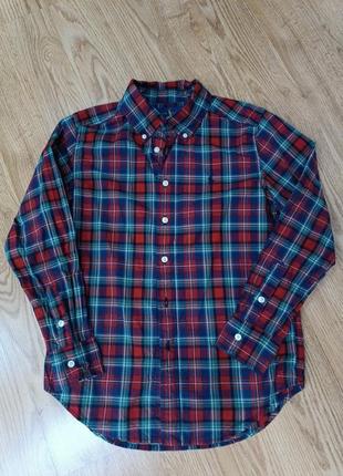 Рубашка ralph lauren