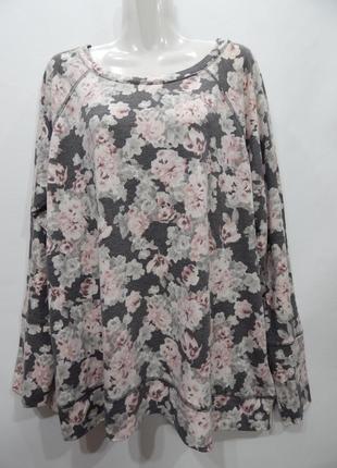 Реглан женский трикотажный ava james р. 56-58 032gt (только в указанном размере, только 1 шт)