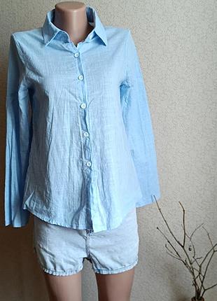 Актуальна блакитна блуза сорочка бавовна