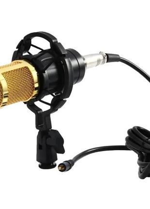 Студийный микрофон со стойкой и ветрозащитой ukc dm 800u 5007