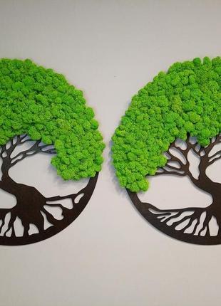 Панно , картина, дерево із стабілізованим мохом 30см преміум мох (яскраво-зелений)