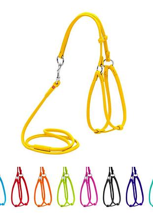 Шлея с поводком для собак кожаная waudog glamour c qr паспортом, круглая, д 6 мм, а 42-60 см, в 46-64 см