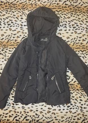 Куртка деми