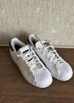 Кросівки adidas superstar білі