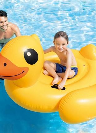 Надувний пліт для плавання intex качка 147×147×81 см, жовтий надувний матрац-качечка з ручками, плотик для басейну до 90 кг