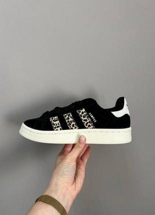 Кросівки adidas campus  black leopard