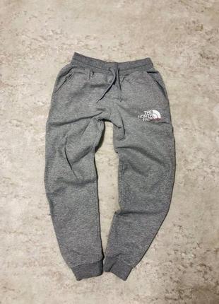 The north face мужские спортивки