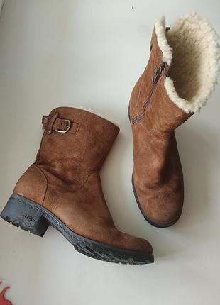 39,5р.  замшевые сапоги на меху, термостелька ugg
