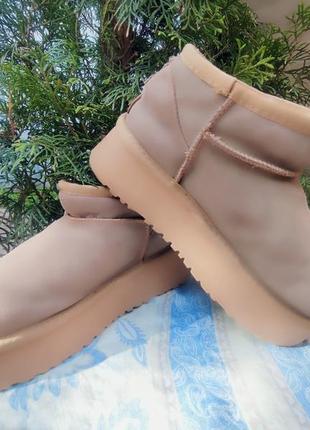 Уггі короткі