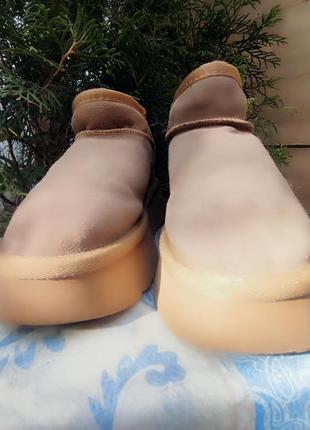 Уггі короткі