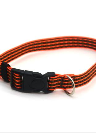 Нашийник для собак капроновий тренд ок 2,0 см 28-45 см помаранчевий