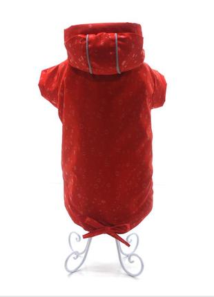 Ветровка курточка для собак малых пород симба с капюшоном красная 1