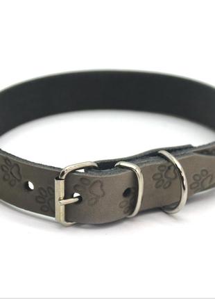 Нашийник для собак шкіряний з тисненням от лапка сірий от лапка 3,0/41-51 см