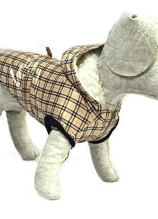 Жилет для собак шанс с капюшоном бежевый 6