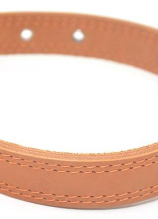 Нашийник для собак шкіряний подвійний од рудий од 3,5/44-55 см