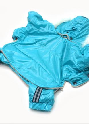 Костюм для собак бруно бирюзовый 2xs/xs