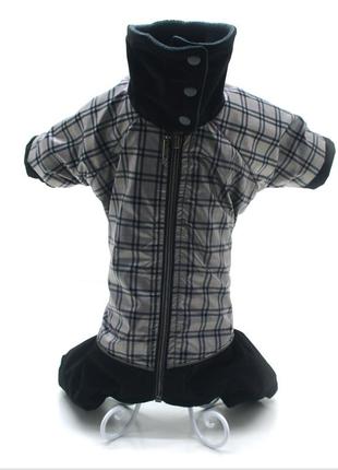 Комбинезон для собак феликс серый 2xs