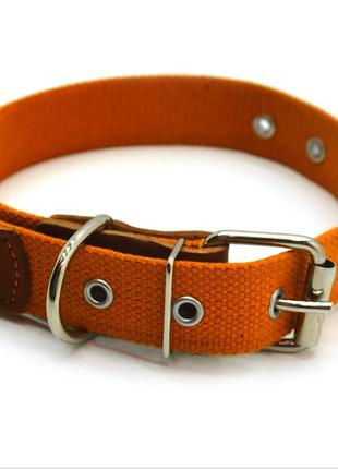 Нашийник для собак брезентовий 2,5 см 24-44 см помаранчевий