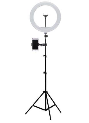 Кільцева лампа 33см для телефону зі штативом 210см usb ac prof qx-330-t2