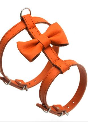 Нагрудник для малих собак zoo-hunt метелик №1 шкіра помаранчевий