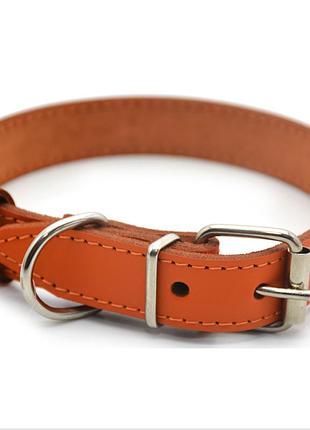 Нашийник для собак zoo-hunt шкіряний весна помаранчевий 4,0/51-61 см