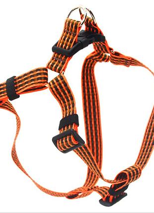 Шлея нагрудник для собак тренд 1,0 см помаранчевий