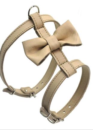 Шлея для малых собак zoo-hunt бабочка №2 кожа бежевый