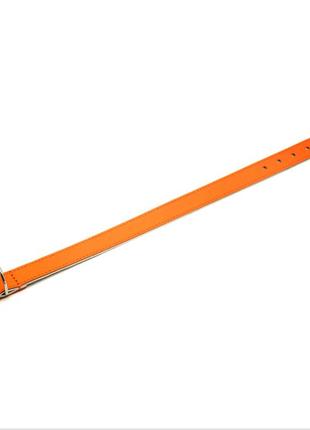 Нашийник для собак zoo-hunt шкіряний подвійний од барви помаранчевий од барви 1,6/23-31 см3 фото