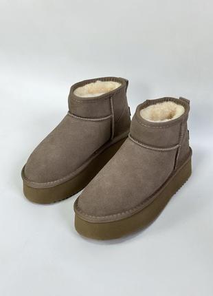 Зимові черевики ugg brow hs