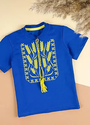 Вишиванка колосок на хлопчика
